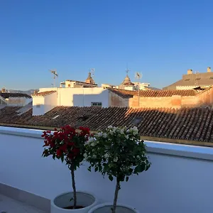 Atarazanas Suite, Atico Con Terraza Malaga